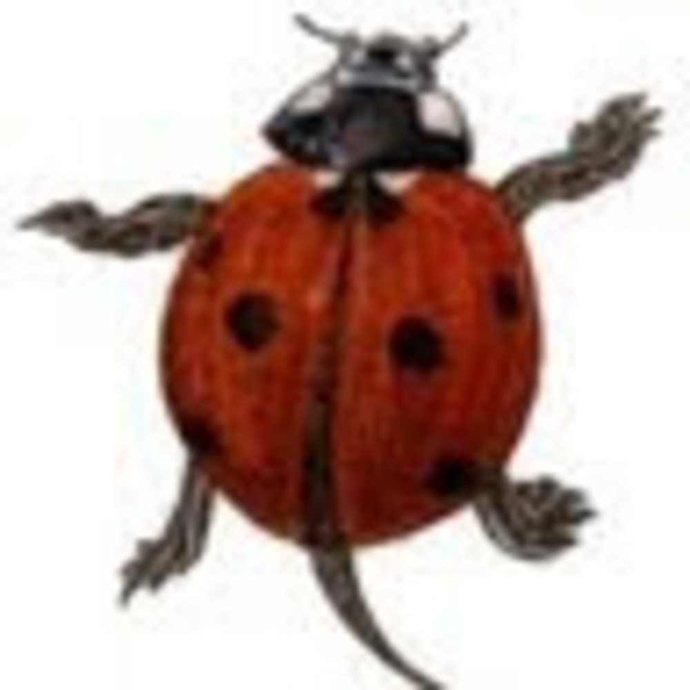 Meet your Posher, Lindsay